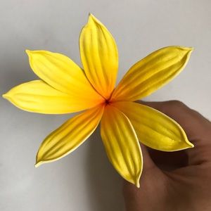 SOLD 🔥 Exotic Flower Hair  flown in from Hawaii!